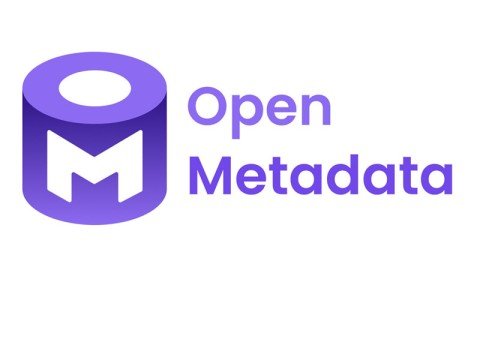 How ToBuild OpenMetaData In Your Company