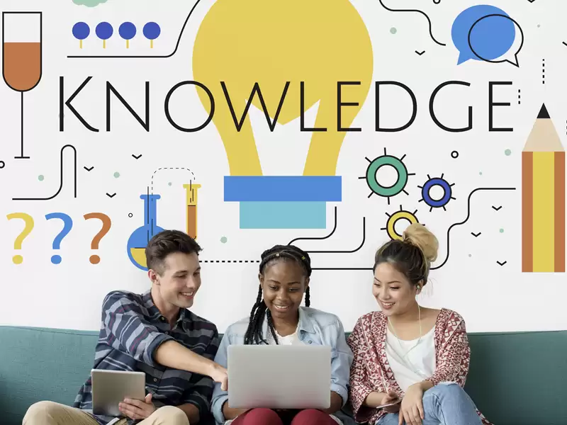 Understanding the Different Types of Knowledge in Organisations